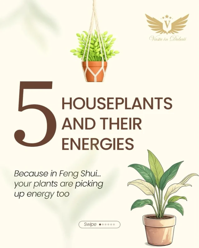 Your home is constantly holding energy… and the plants you choose play a bigger role than you think 🌿✨

In Feng Shui, houseplants are more than just beautiful décor pieces they help influence the feeling, mood, and flow of energy inside your space. The right plant can bring calmness, positivity, abundance, protection, and balance into different areas of your home. 🪴💫

Here are 5 powerful houseplants and the energies they’re known for:

🌱 Peace Lily — peace, emotional healing & calming energy
🌴 Areca Palm — positivity, freshness & harmony
🍃 Monstera — growth, expansion & abundance
🪴 ZZ Plant — prosperity, resilience & stability
🐍 Snake Plant — protection, grounding & strong energy

Every corner of your home carries a different vibration.
And sometimes, something as simple as a plant can completely shift how a space feels. ✨

Whether you want your home to feel more peaceful, more abundant, more protected, or simply more alive choosing plants intentionally can help create that energy naturally. 🌿

Which plant energy do you need most in your space right now? 

#fengshui #houseplants #plantenergy #homedecor  #vastuindubaii